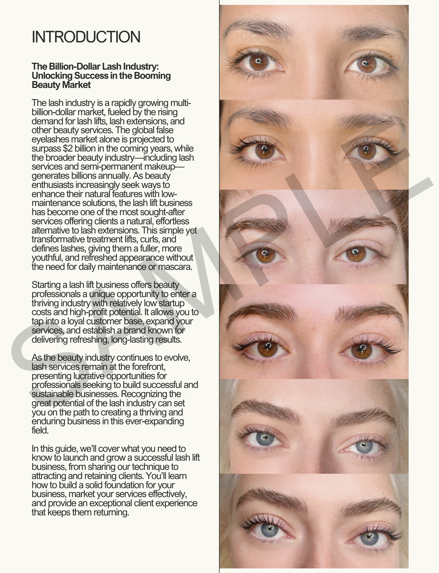 Celebrity Lashes EBook - The Complete Guide to Lash Lift, Business, Abundance - Lash Lift Training